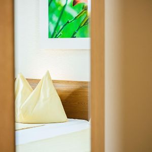 Standaard Kamer met een King Size Bed